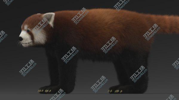 images/goods_img/20210312/Red Panda 3D/2.jpg